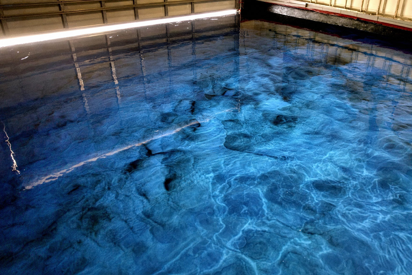 Stained Concrete Flooring in Midlothian, TX